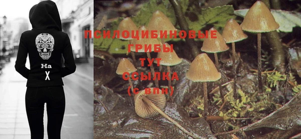 дживик Балабаново