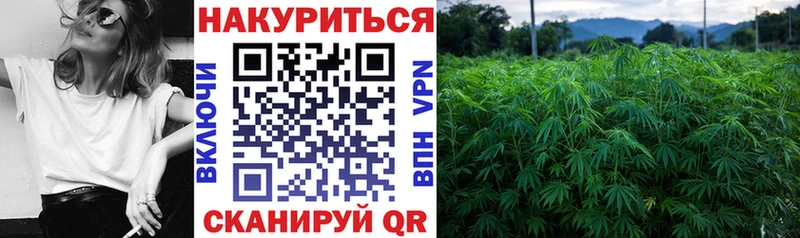 купить наркоту Белая Калитва Конопля сатива